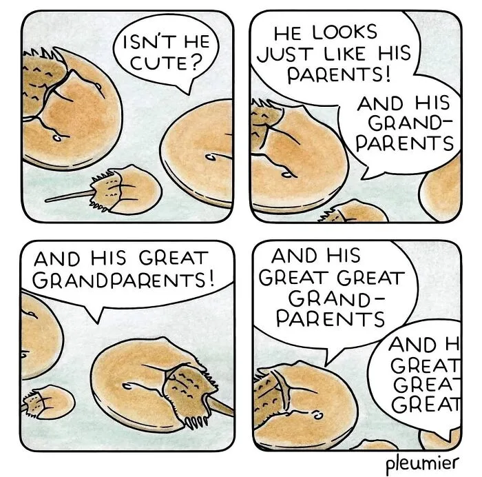 30 Soft, Smart, And Slightly Existential Comics By Pleumier