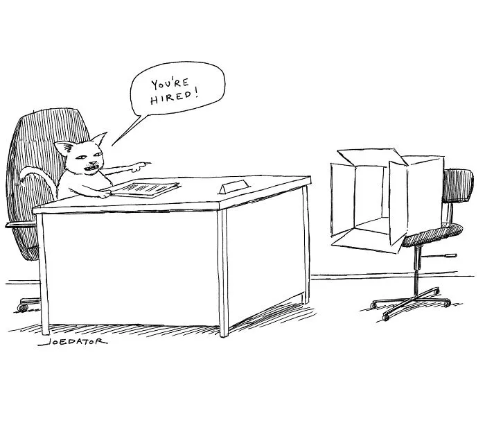 This Cartoonist Nails Everyday Absurdity In 47 Brilliant Single Panels