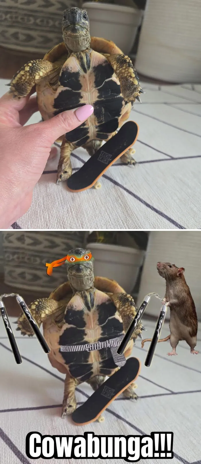 ¿Podríais borrar mi mano?