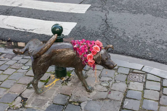 Zinneke Pis, 2021