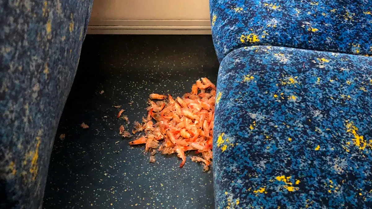 45 Times People Just Had To Take A Photo Of Absolute Jerks Being Unbelievable On Public Transport (New Pics)
