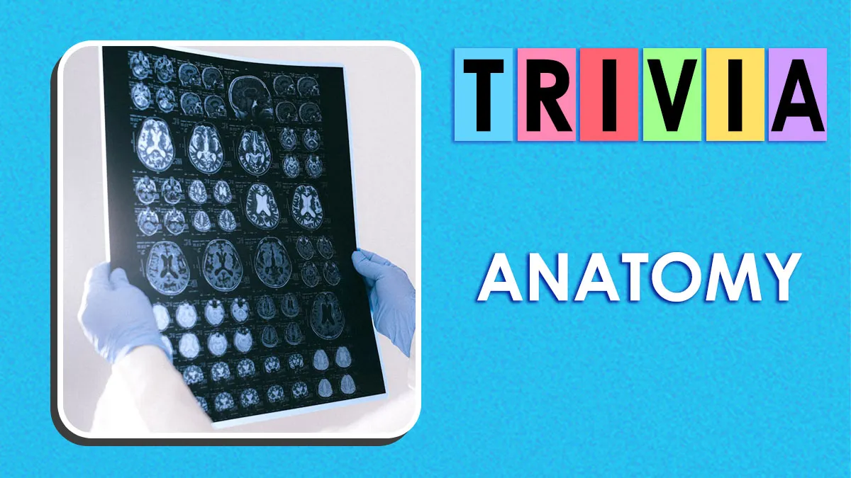 “Do You Actually Know Your Own Body?”: Test Yourself With These 27 Anatomy Questions