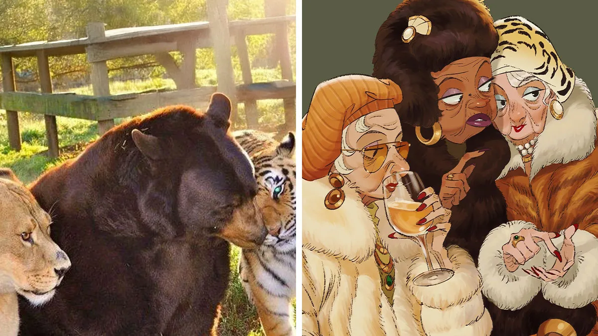 17 New Creative Illustrations By Connie Kang Where Human Meets Animal Charm