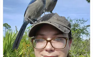 40 Wildlife Photographers Who Got Ambushed By Their Subjects In Hilarious Ways