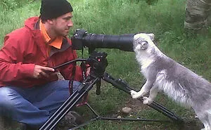 40 Wildlife Photographers Who Got Ambushed By Their Subjects In Hilarious Ways