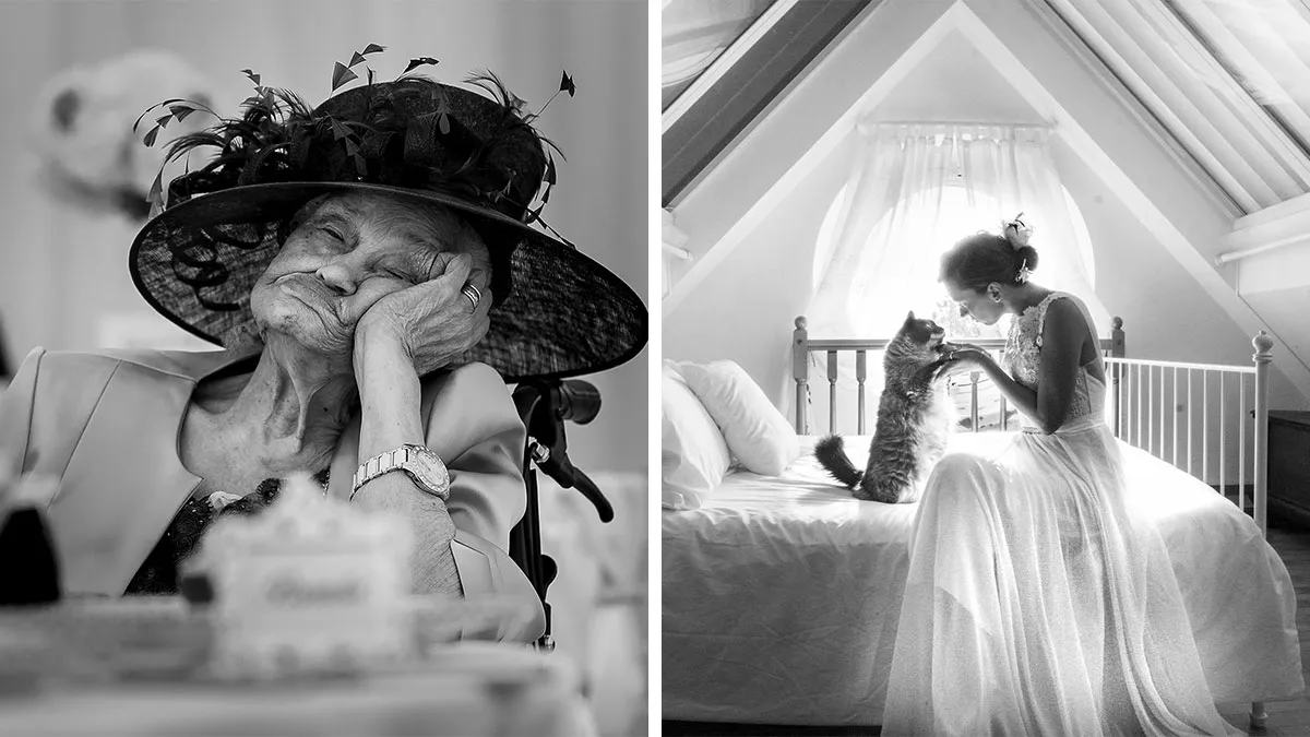 Bored Panda Community Shared 40 Must-See Wedding Shots That Tell A Story
