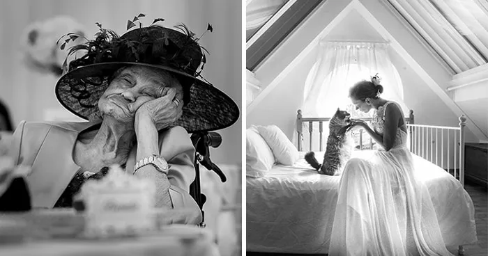Bored Panda Community Shared 40 Must-See Wedding Shots That Tell A Story