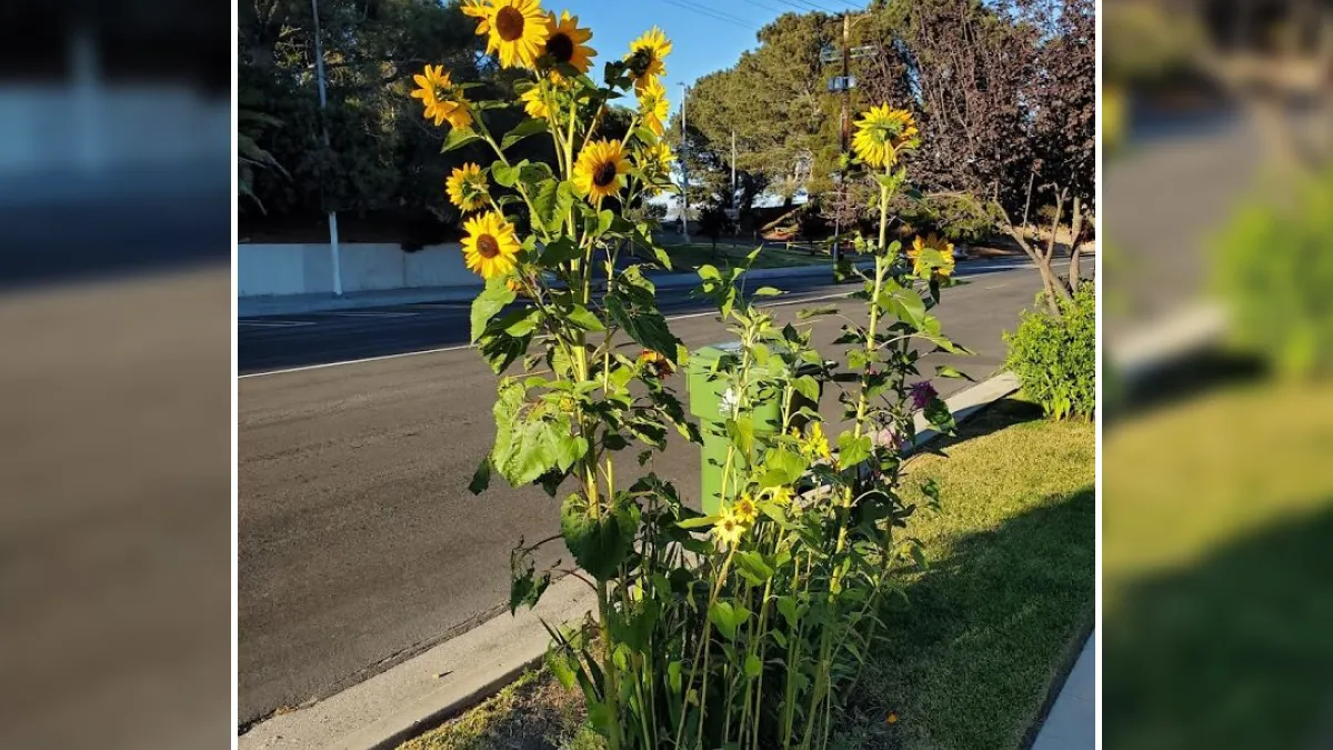 21 Of The Best Gardening Finds To Take Your Game To The Next Level