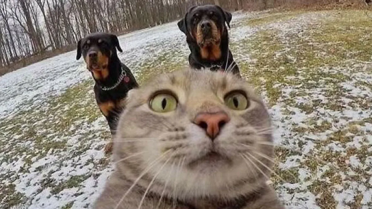 26 Times Animals Were Both Adorable And Nightmare Fuel