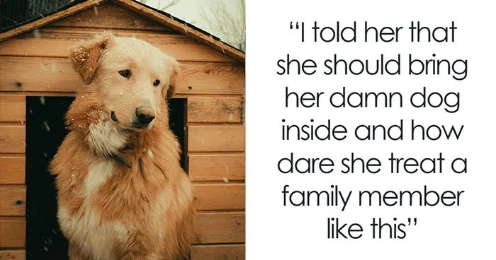 Mom Panics After Neighbors Threaten Her With CPS After She Called Animal Control: “They Have Footage”