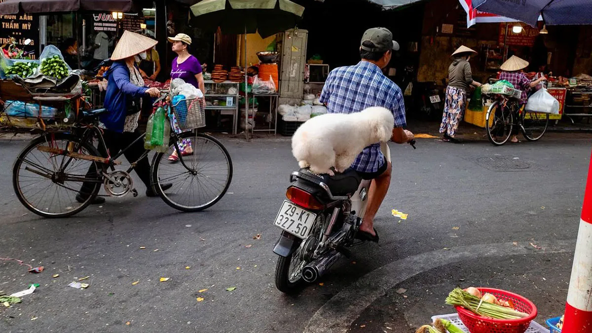 50 Times This Street Photographer Caught The World Off Guard