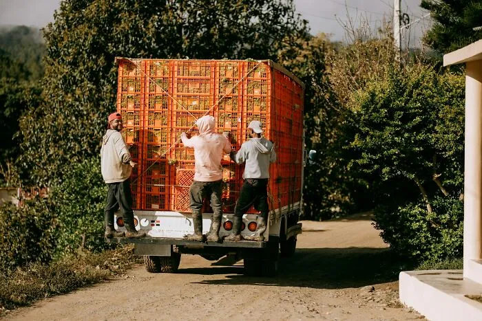 Truck Drivers Shared 35 Of Their Most Memorable Incidents While On The Road
