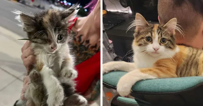 We Didn't Intend On Keeping Her, But Here We Are