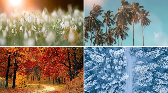 Only one season gets to stay forever: