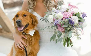 Guests Furious And Threaten To Opt Out After Bride Presents Her Unconventional Wedding Ideas
