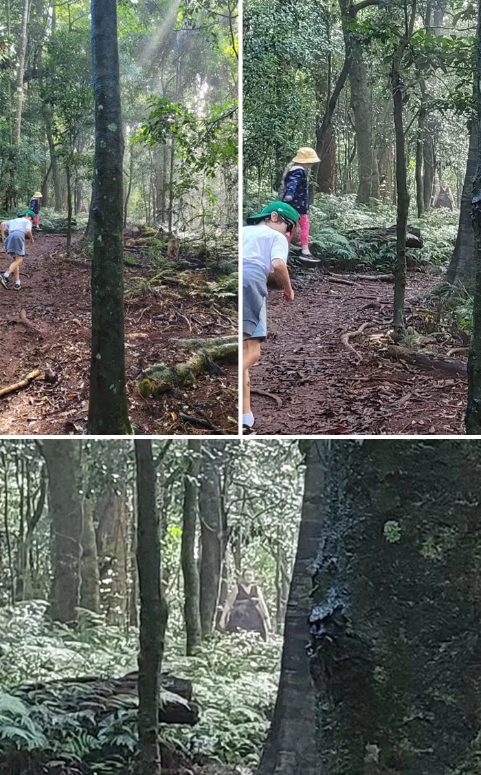 Apparition Caught On Family Photo. Figure Was Not There In Real Life