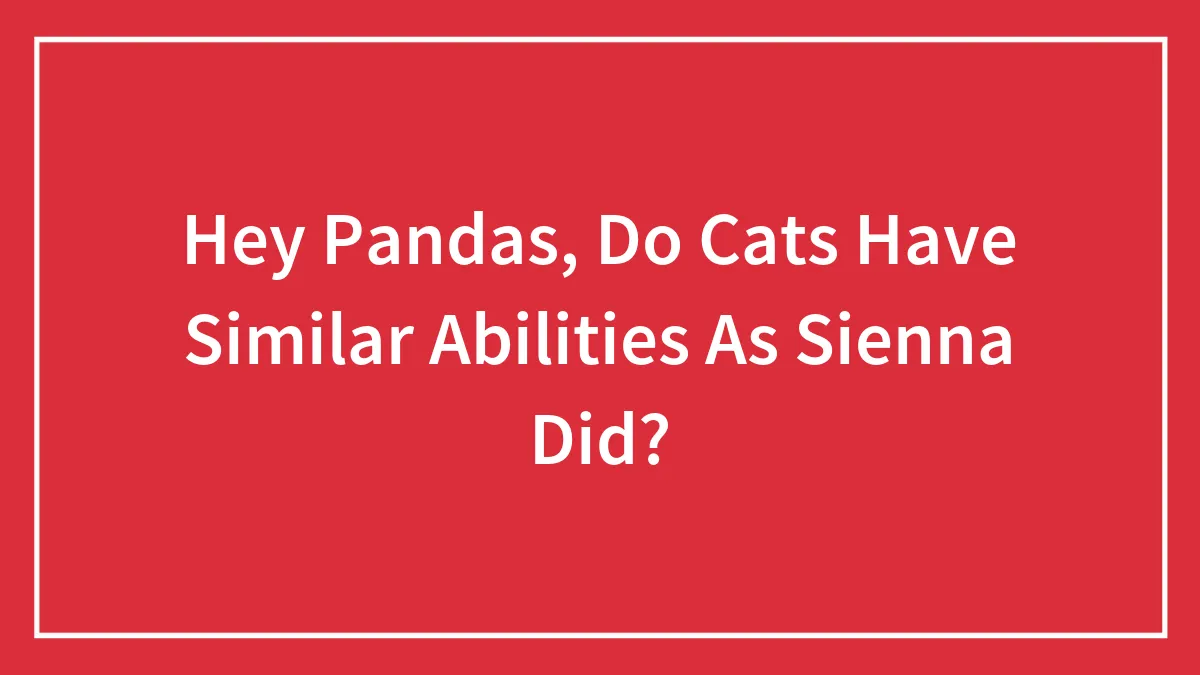 Hey Pandas, Do Cats Have Similar Abilities As Sienna Did?