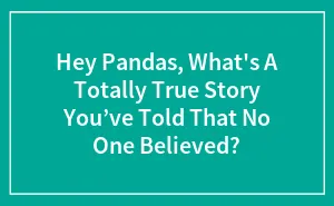 Hey Pandas, What's A Totally True Story You’ve Told That No One Believed? (Closed)