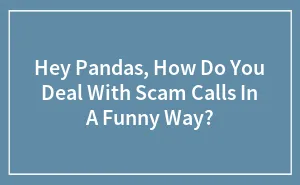 Hey Pandas, How Do You Deal With Scam Calls In A Funny Way? (Closed)