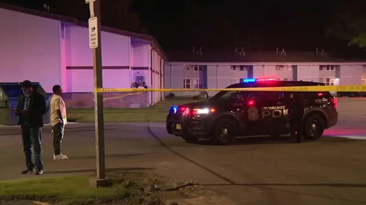 "Most Honest Person": Woman's Explanation After Shooting Husband Goes Mega Viral