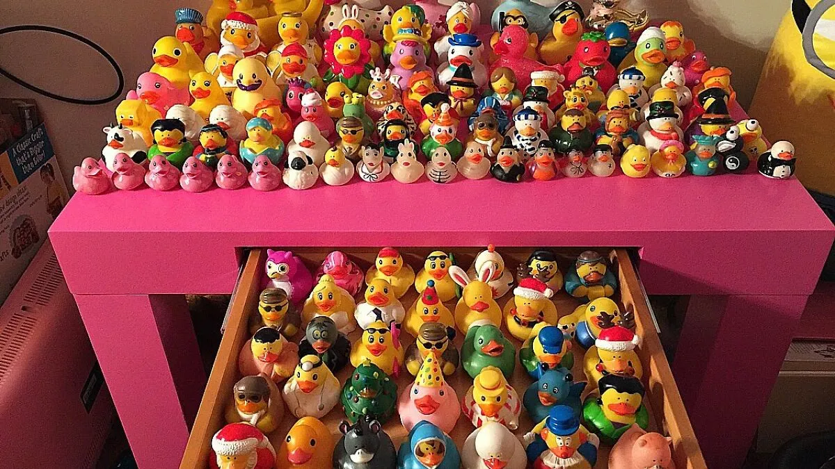 Hey Pandas, Post The Weirdest Collection You Have (Closed)