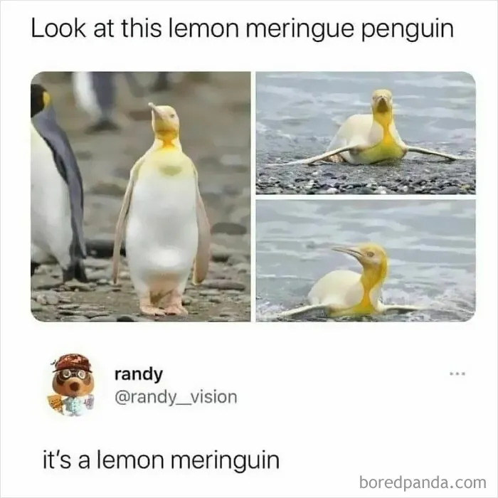 50 Hilarious Memes That Might Make You Snort-laugh In Public (New Pics)