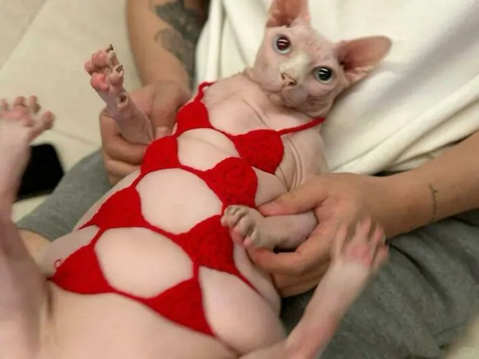 Blursed Bikini