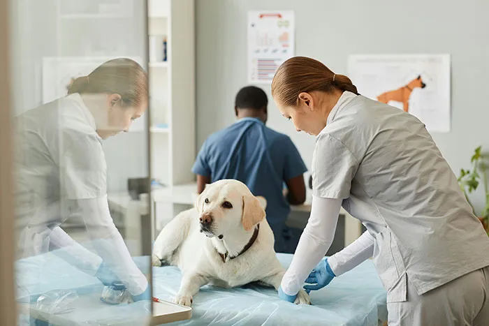 “They Put Duct Tape On Blistered Skin”: 50 Times Doctors Saved Patients From Their DIY Treatments