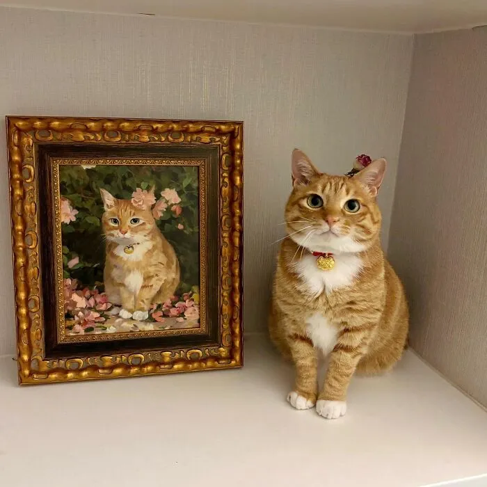 Beware, For These 44 Adorable Pet Pics Are Here To Melt Your Heart Right Away