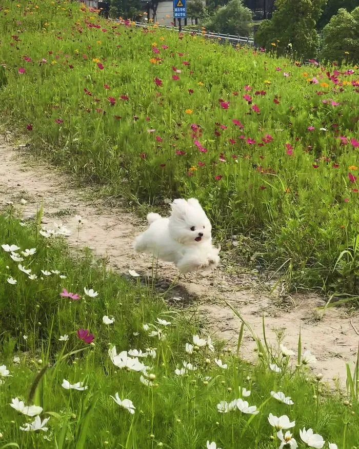 Beware, For These 44 Adorable Pet Pics Are Here To Melt Your Heart Right Away