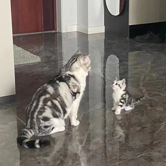 Beware, For These 44 Adorable Pet Pics Are Here To Melt Your Heart Right Away