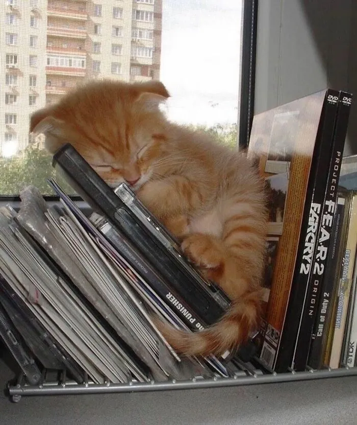 Beware, For These 44 Adorable Pet Pics Are Here To Melt Your Heart Right Away