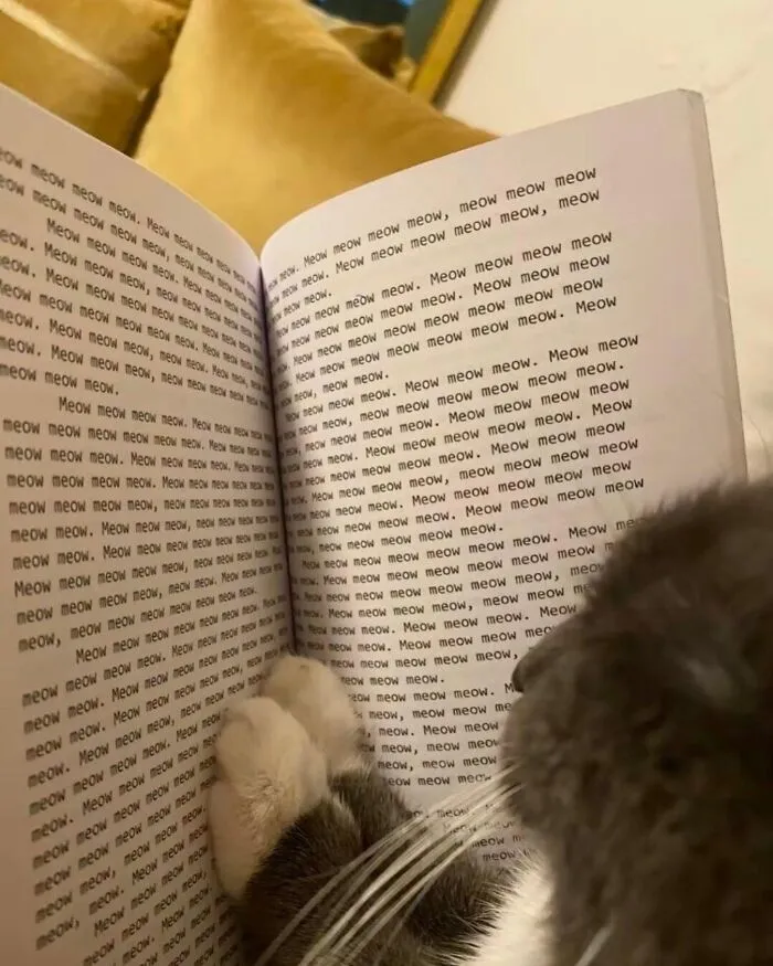 Beware, For These 44 Adorable Pet Pics Are Here To Melt Your Heart Right Away