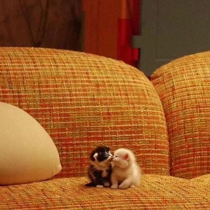 Beware, For These 44 Adorable Pet Pics Are Here To Melt Your Heart Right Away