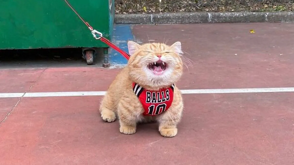 Beware, For These 44 Adorable Pet Pics Are Here To Melt Your Heart Right Away