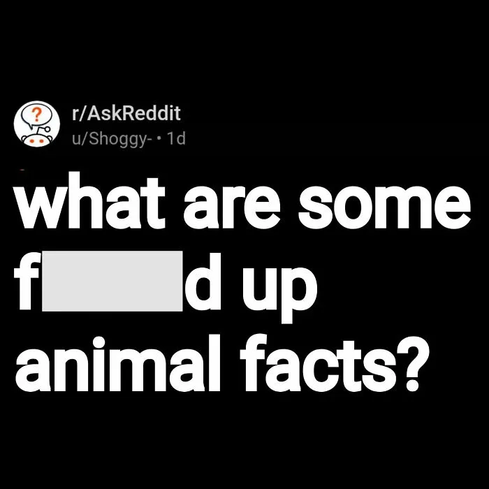 “Scariest Fact You Know”: 50 Posts From A Page That Isn’t Afraid To Dive Into The Darkest Topics