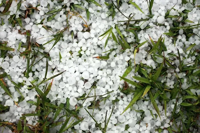 A Hail Storm Ended The Firs Part Of The Hundred Years' War