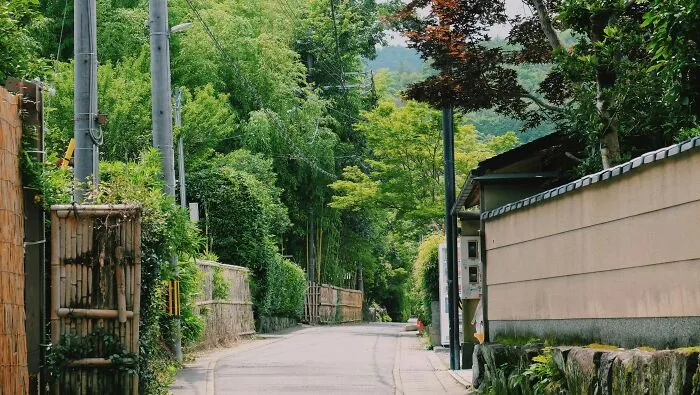 Non-Japanese People Who Live In Japan Reveal What Are The Cons Of Living There (33 Examples)
