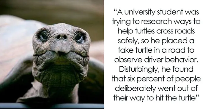 “Be Careful Who You Date”: 50 Awful Images That Provide A Reality Check About The World (New Pics)