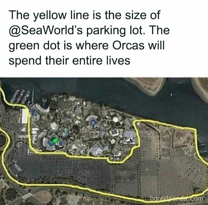 Sea World