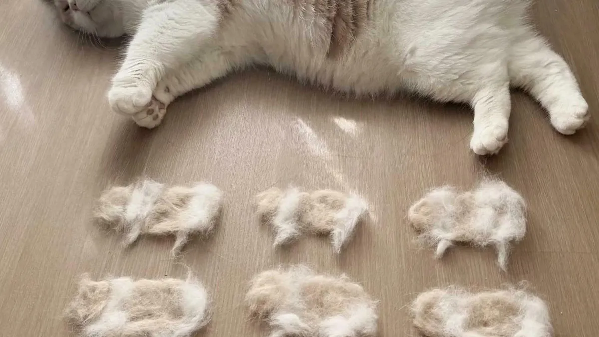 “My Cat Turned Blue”: 50 Hilariously Bad Liars Who Posted Something Online Just For Likes