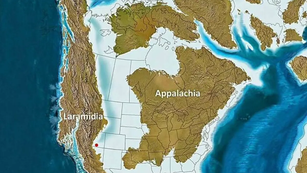 These 31 Maps Reveal Surprising Truths About The USA