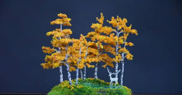 I Created A Magical Miniature World With An Enchanted Forest