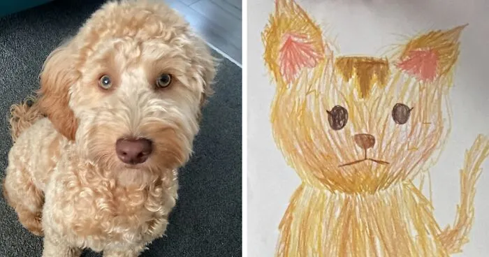 Hey Pandas, Share A Drawing Of Your Cat As A Dog (Or Your Dog As A Cat) (Closed)
