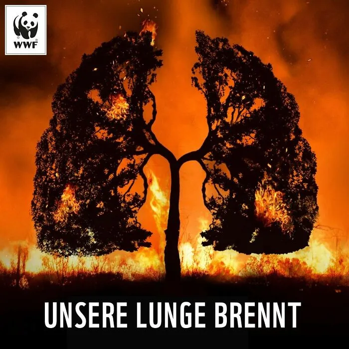 24 Times WWF Used Advertising To Shake Us Awake (New Pics)