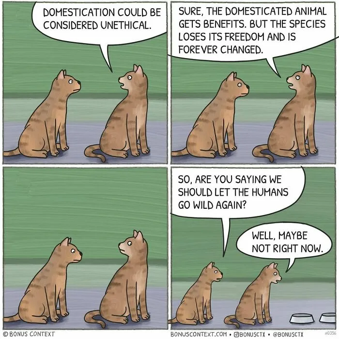 20 Comics By ‘Bonus Context’ That Mix Humor With Existential Thoughts In The Most Unexpected Way