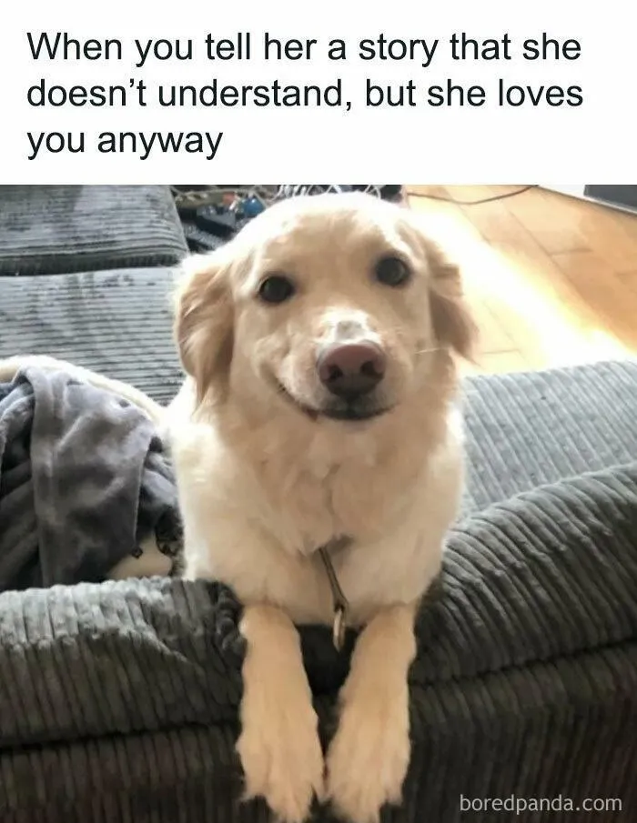 50 Random Memes That Brought Chaos, Laughter, And Unfiltered Fun