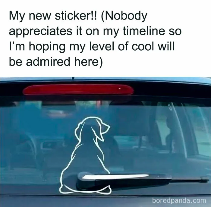 50 Funny Dog Memes That Are A True Ray Of Sunshine On A Tiring Day