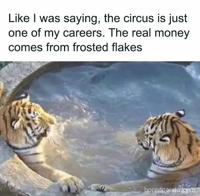 50 Memes That Might Give You A Chuckle And Brighten Your Day (New Pics)