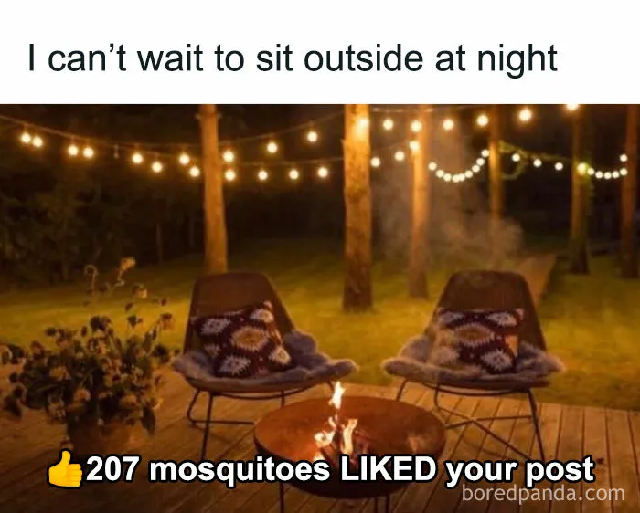 50 Memes That Might Give You A Chuckle And Brighten Your Day (New Pics)